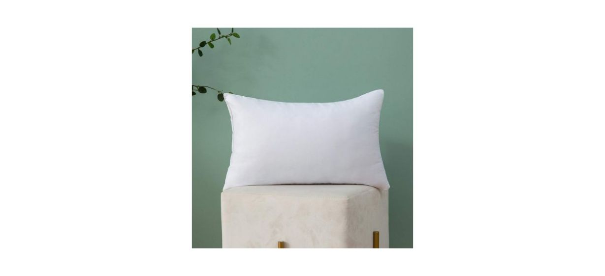 Best Miulee Throw Pillow Insert