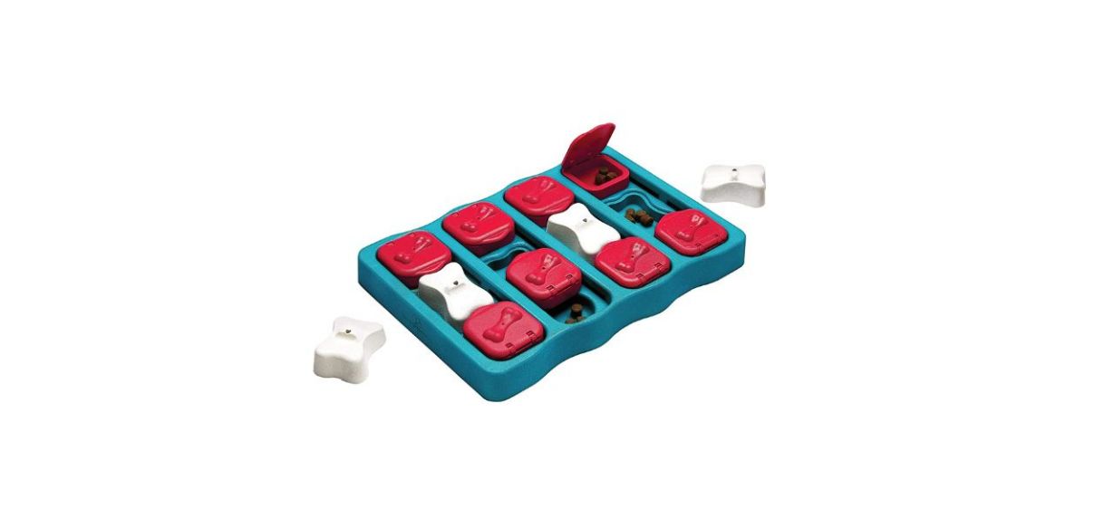 Best Outward Hound Nina Ottosson Interactive Treat Puzzle Dog Toy