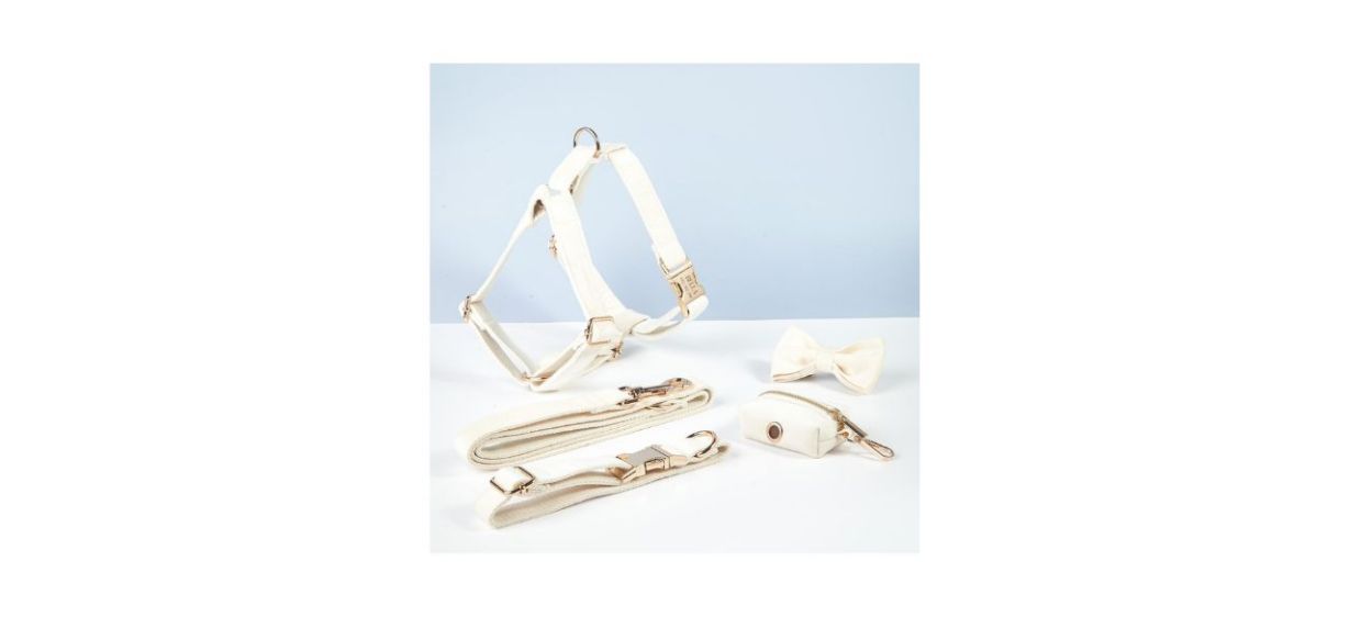 BoboCollar Personalized Step in Dog Harness in white, including a bow collar