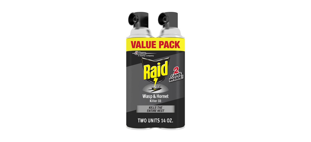 Raid Wasp and Hornet Killer