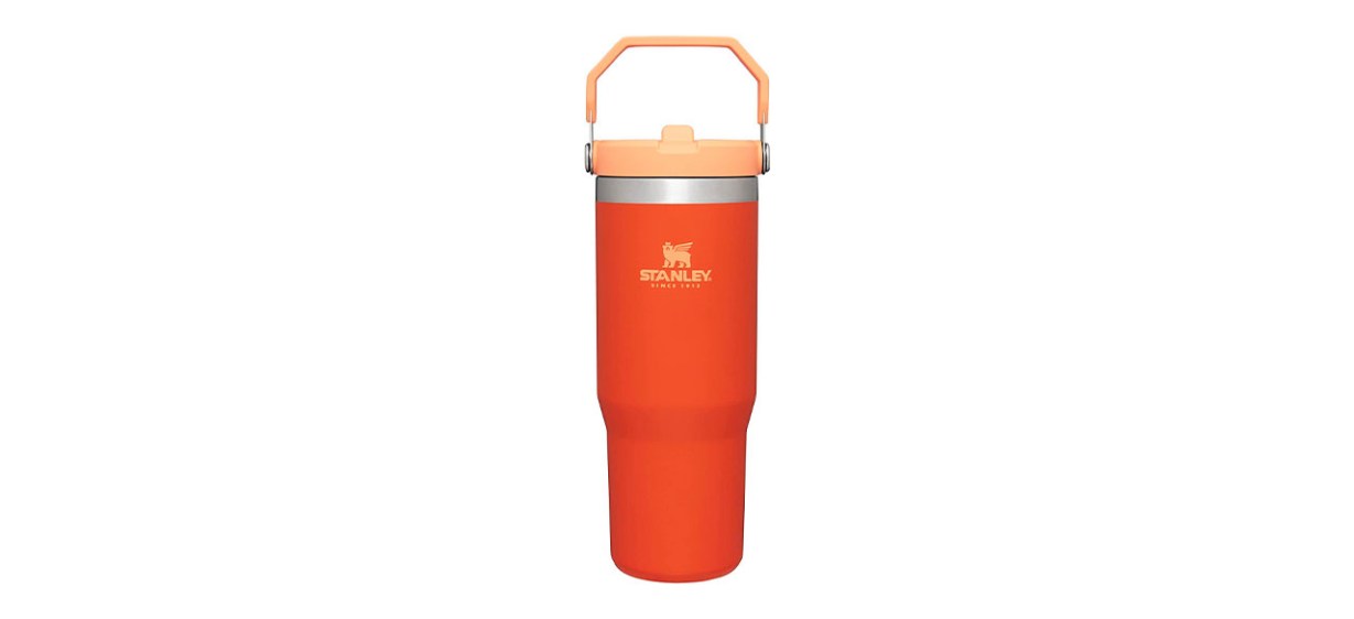 Best Insulated Cups