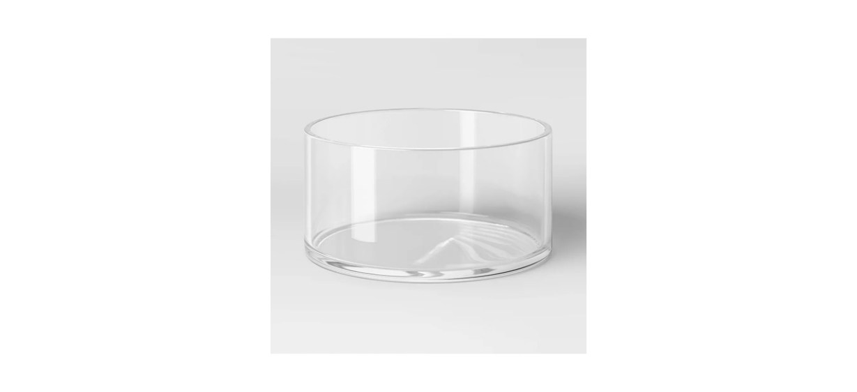 Best Threshold Glass Vase