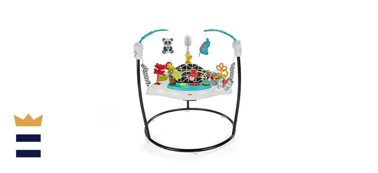 Fisher-Price Animal Wonders Jumperoo