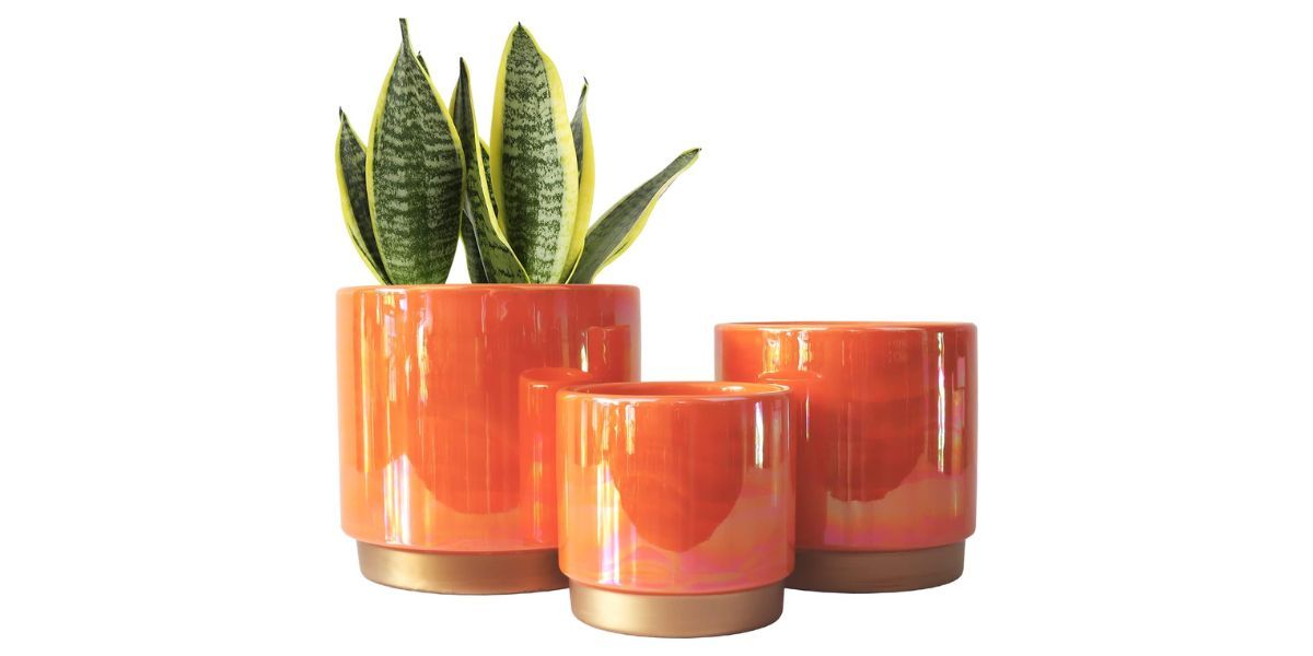 Gepege Ceramic Indoor Pots