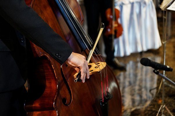 Cecilio 3/4 Size Upright Double Bass - Full Beginner Kit With Bow, Rosin & Gig Bag (Black)