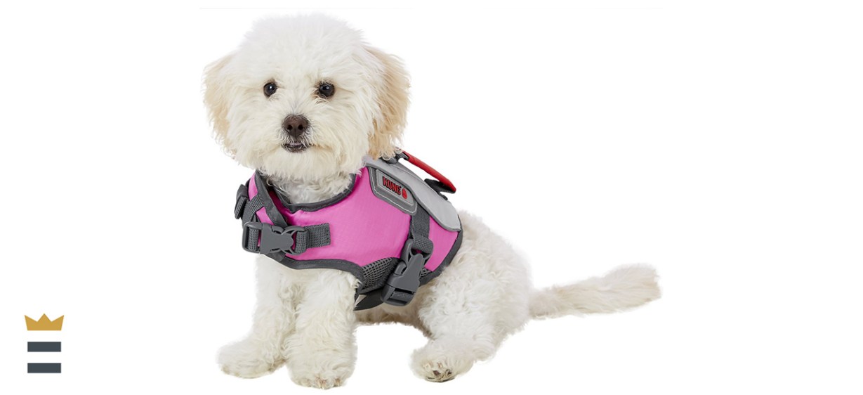KONG Sport AquaFloat Dog Flotation Vest