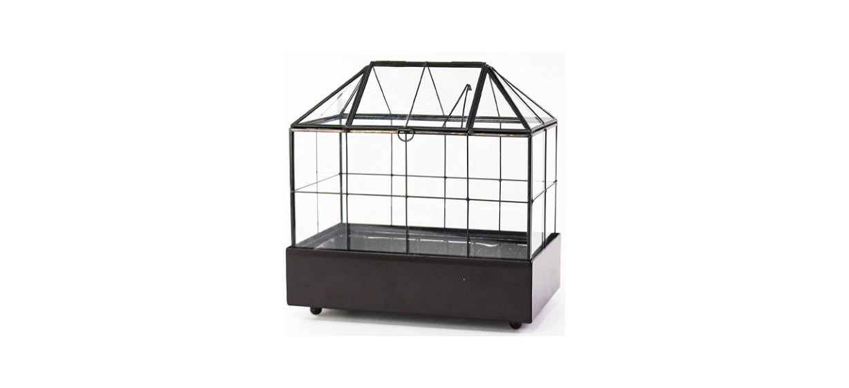 Lawn-Garden-Best Large Tall Plant Terrarium Glass — Glass Greenhouse Terrarium With Lid And Tray