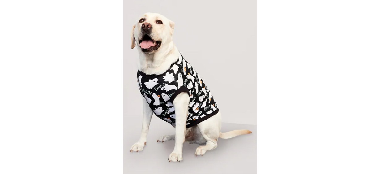 Best Halloween-Print Jersey-Knit T-Shirt for Pets