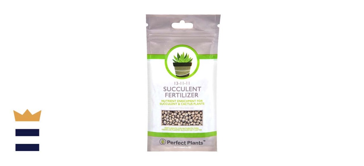 Perfect Plants Store Succulent And Cactus Fertilizer