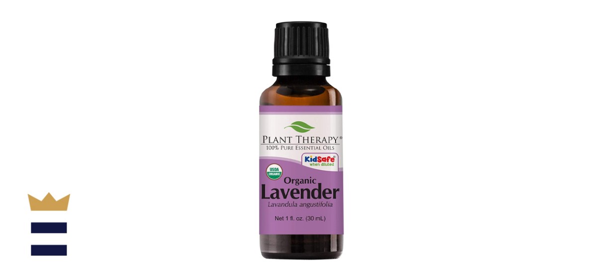 Plant Therapy Organic Lavender Essential Oil