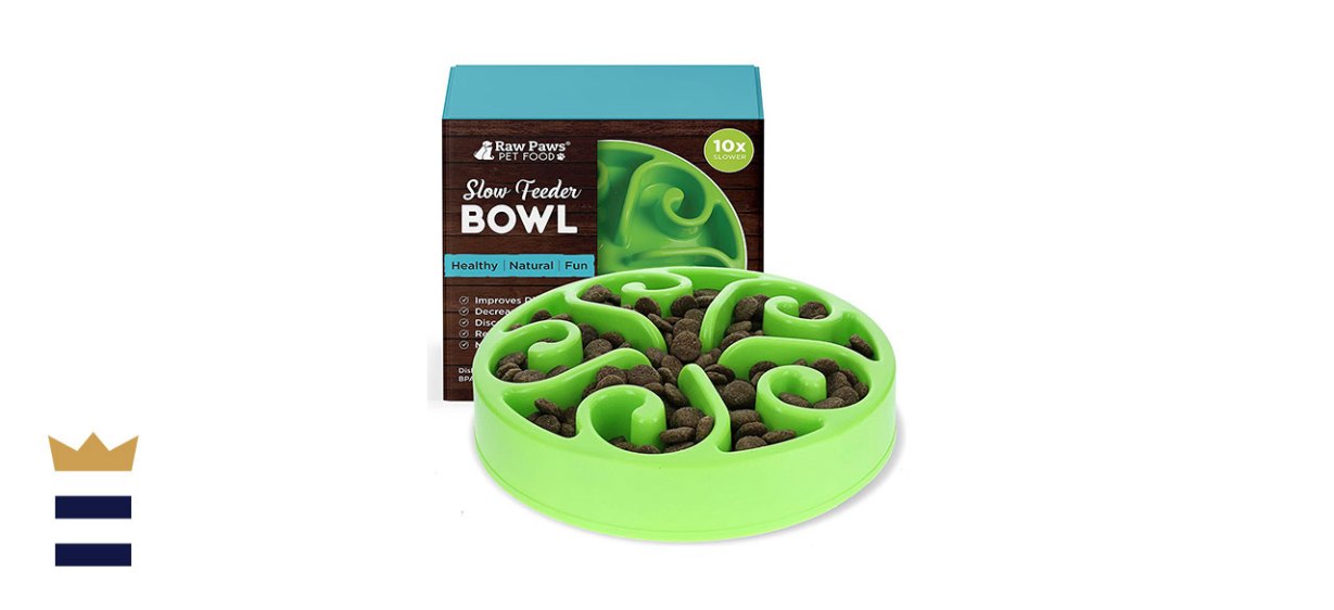 Raw Paws Pet BPA-Free Slow Feeder Dog Bowl
