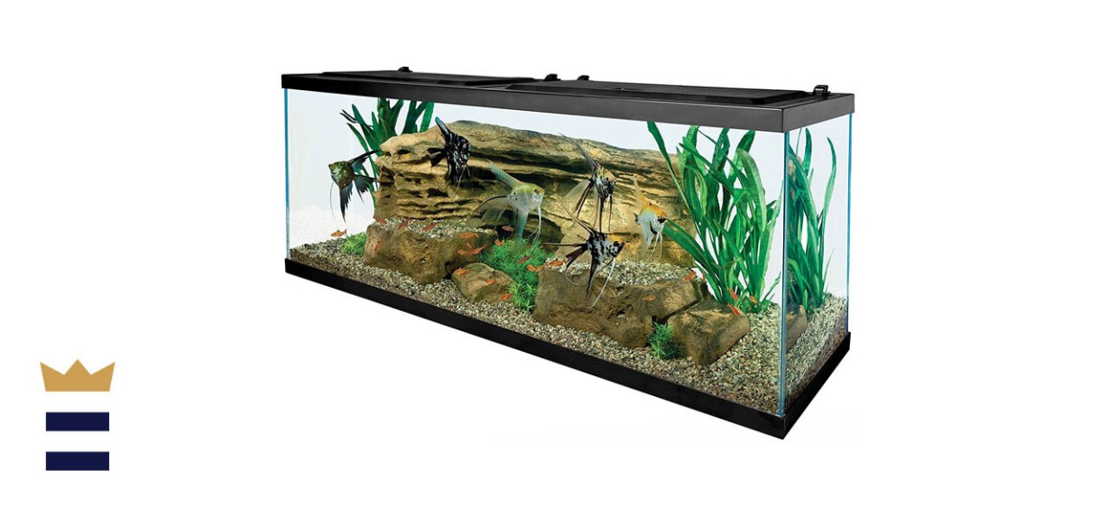 Tetra 55-Gallon Aquarium Kit