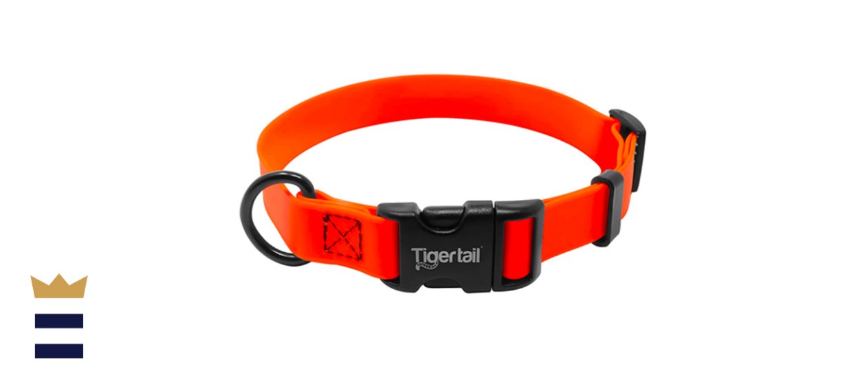 Tiger Tail Urban Nomad Dog Collar