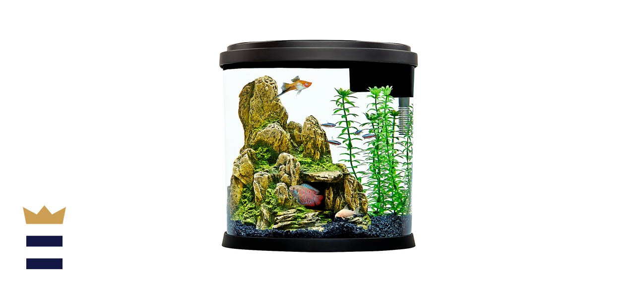 Petsmart 3.5 gallon on sale tank