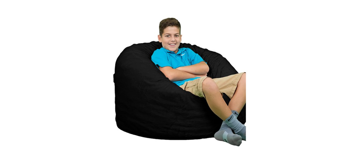 Best Ultimate Sack Bean Bag Chair