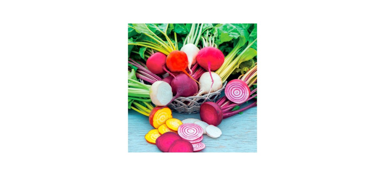 Seed Needs, Rainbow Beet Mixture