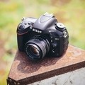 5 Best Nikon DSLR Cameras - Feb. 2021 - BestReviews