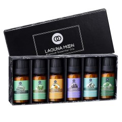 Lagunamoon Essential Oils and Scents, Set of 6 - 10 ml. each