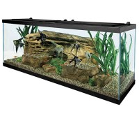 Tetra 55 Gallon Aquarium Kit