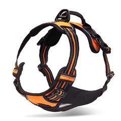 Chai's Choice 3M Reflective No Pull Dog Harness