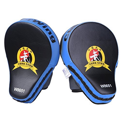 Cheerwing Punch Mitts