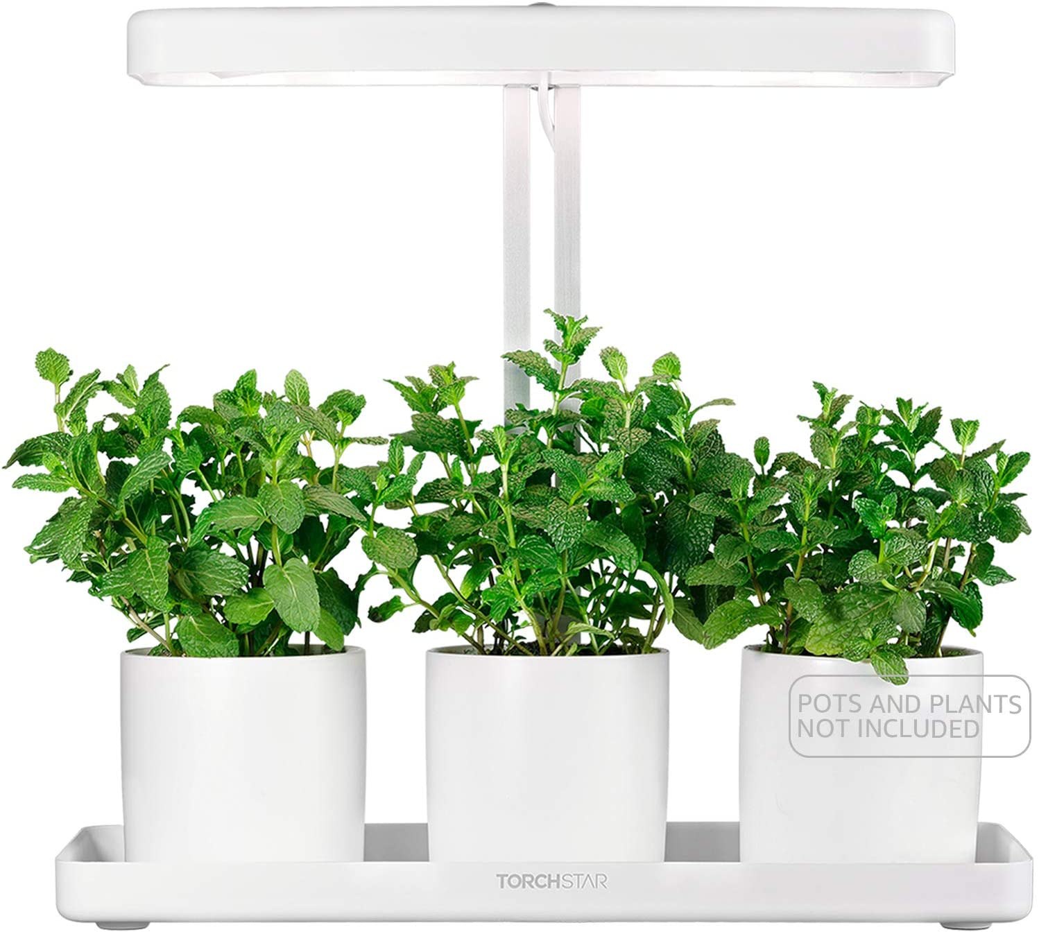 TORCHSTAR Indoor Garden Kit