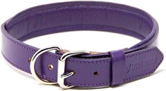 Logical Leather Padded Dog Collar