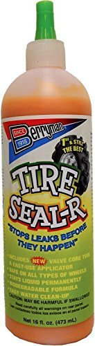 Berryman Products Seal-R Tire Sealing Compound