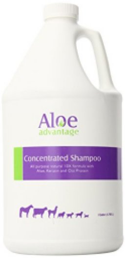Aloe Advantage