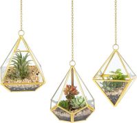 Mkono Hanging Glass Terrarium