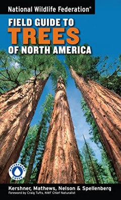 Bruce Kershner Field Guide to Trees of North America