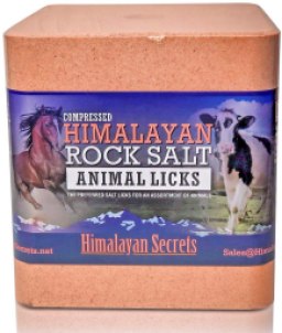 Himalayan Secrets