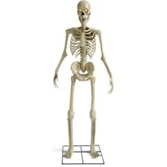 Grandin Road Animated Yard Skeleton