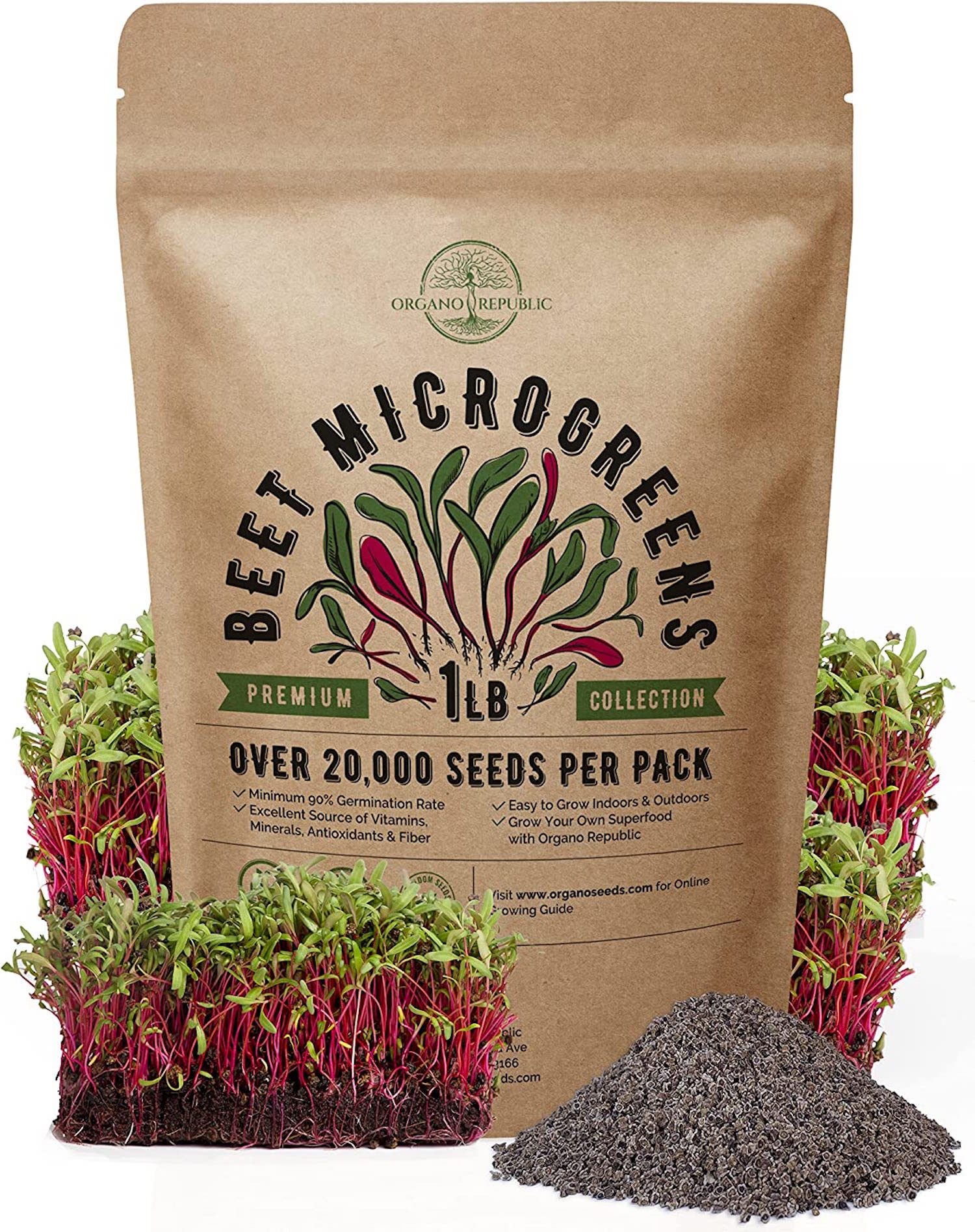 Organo Republic Store Beet Sprouting &amp; Microgreen Seeds