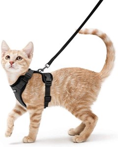 rabbitgoo Cat Harness and Leash