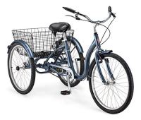 Schwinn Meridian 24" Adult Tricycle