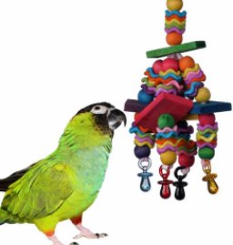 Super Bird Creations