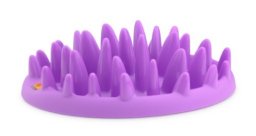 The Company of Animals