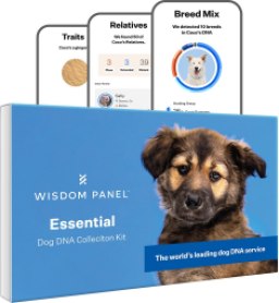 Wisdom Panel